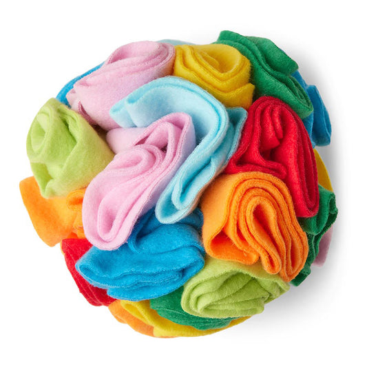 Pets at Home Play Time Snuffle Ball Dog Toy