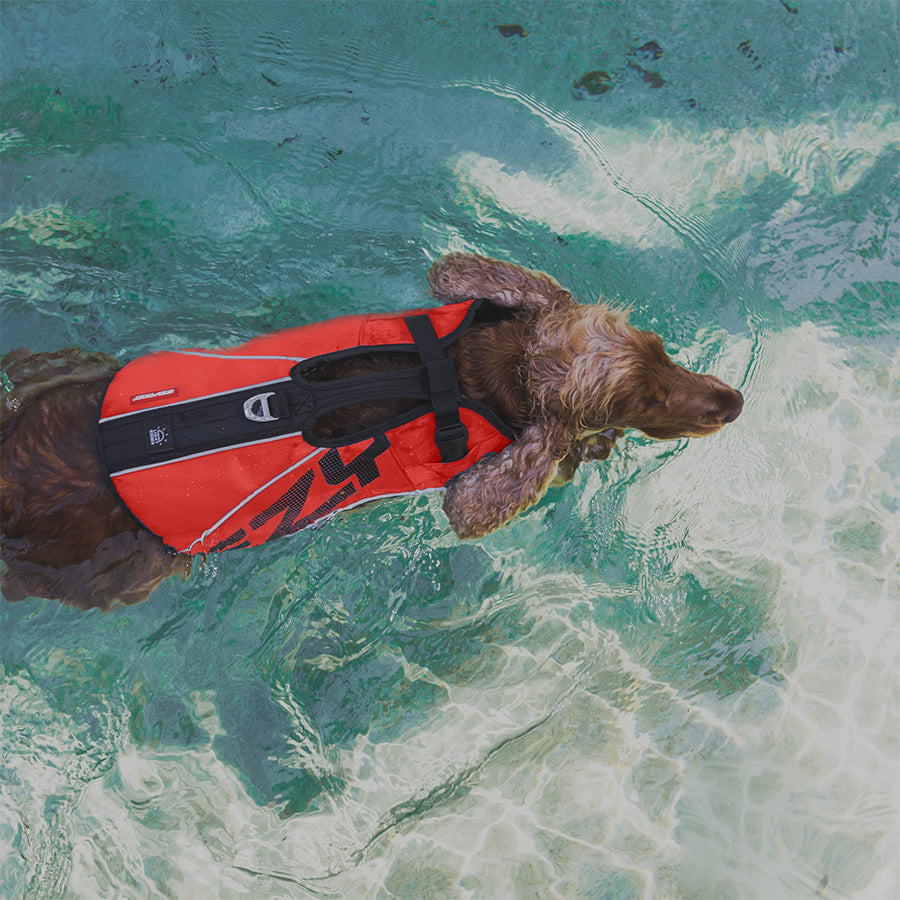 EzyDog DFD X2 Boost Life Jacket Red X Small