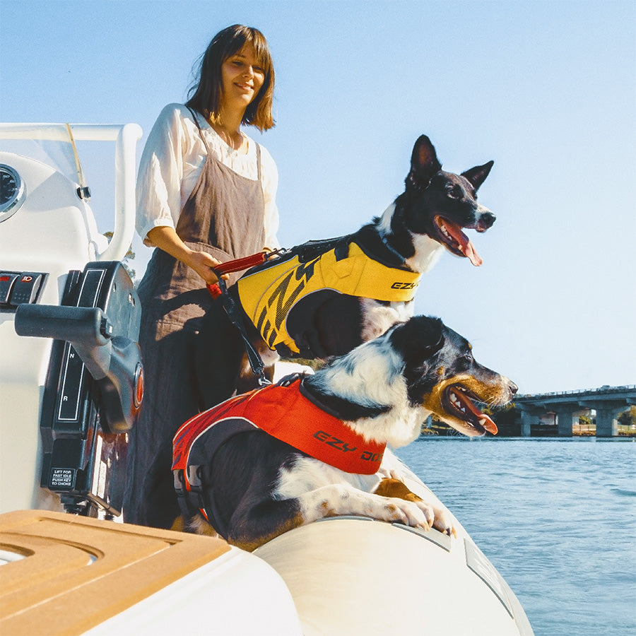 EzyDog DFD X2 Boost Life Jacket Red X Small