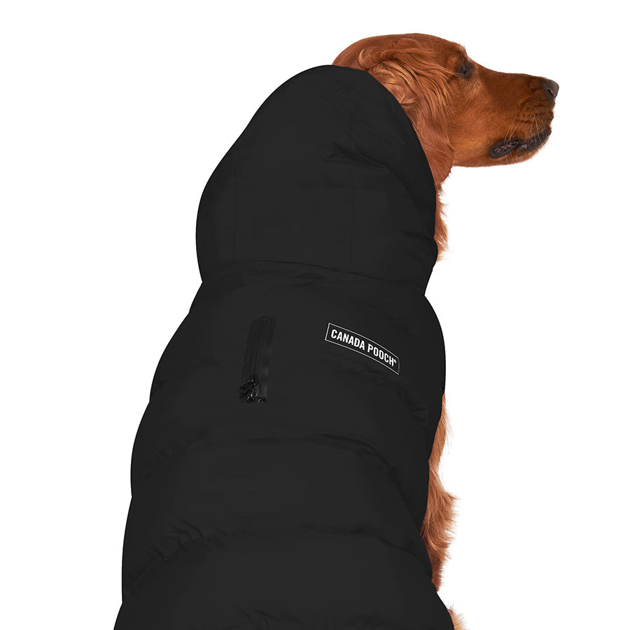 Canada Pooch Waterproof Puffer Dog Jacket Black X Small