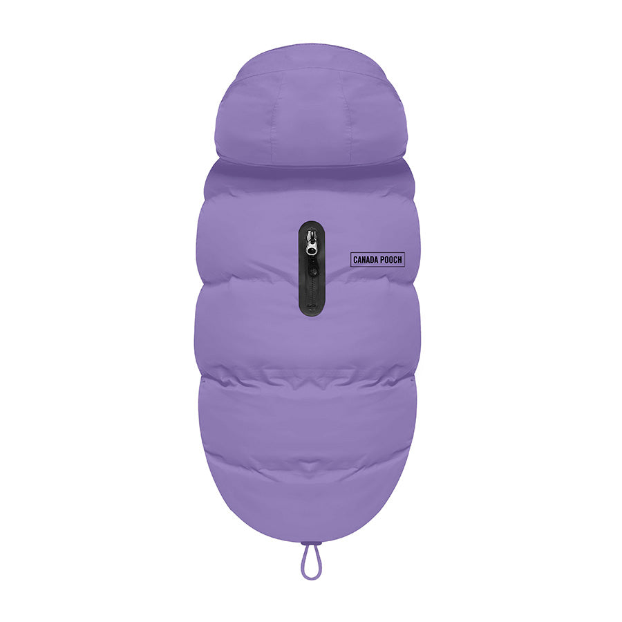 Canada Pooch Waterproof Puffer Dog Jacket Violet X Small