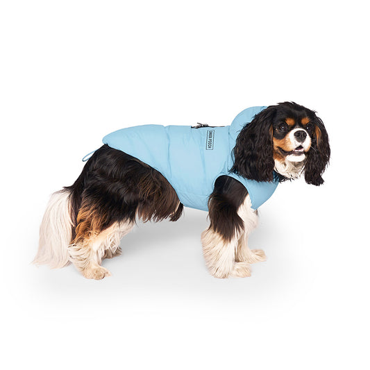 Canada Pooch Waterproof Puffer Dog Jacket Ice Blue X Small