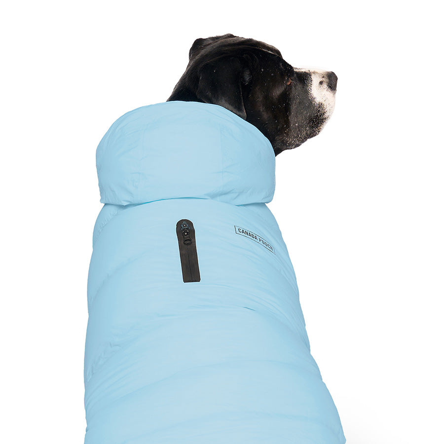 Canada Pooch Waterproof Puffer Dog Jacket Ice Blue X Small