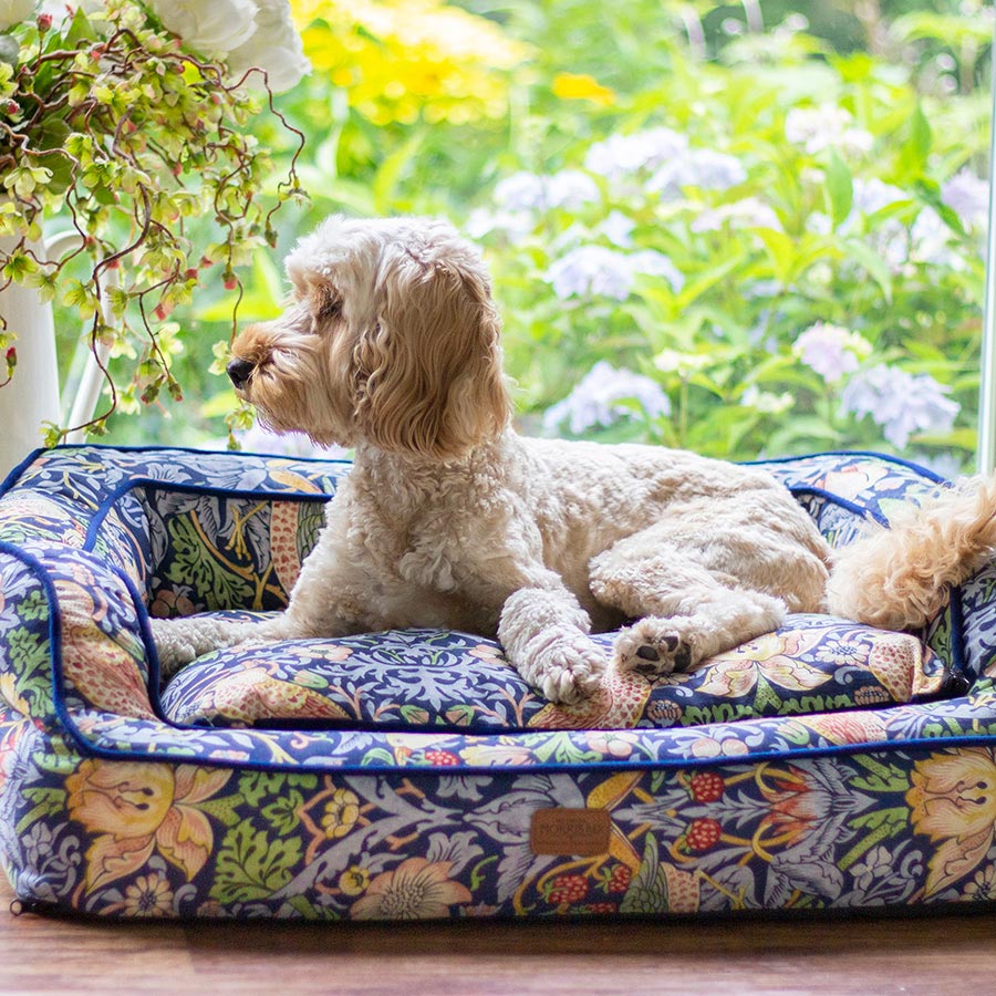 William Morris Strawberry Thief Pet Sofa