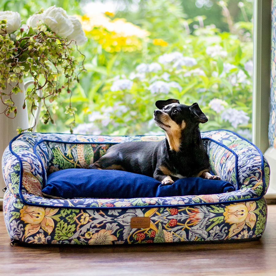 William Morris Strawberry Thief Pet Sofa