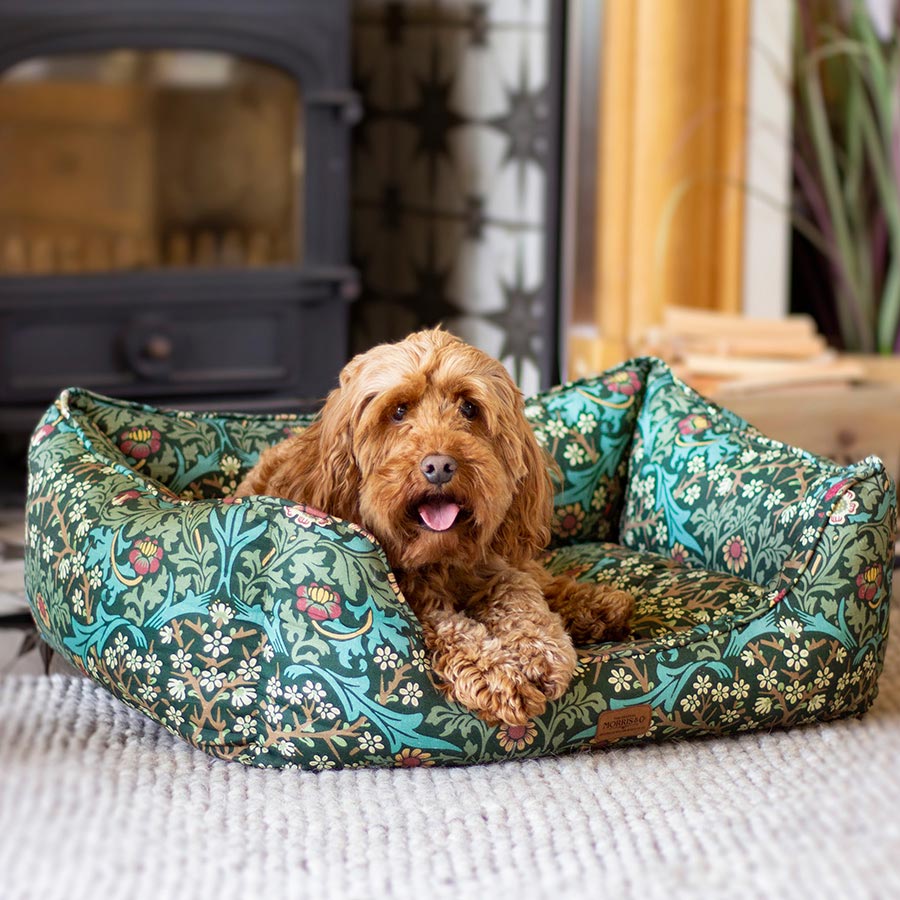 William Morris Square Dog Bed Blackthorn Print