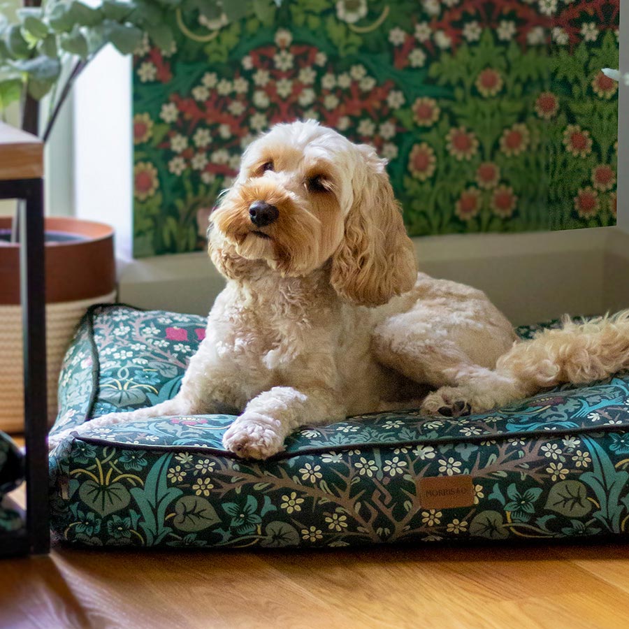William Morris Pet Mattress Blackthorn Print Large