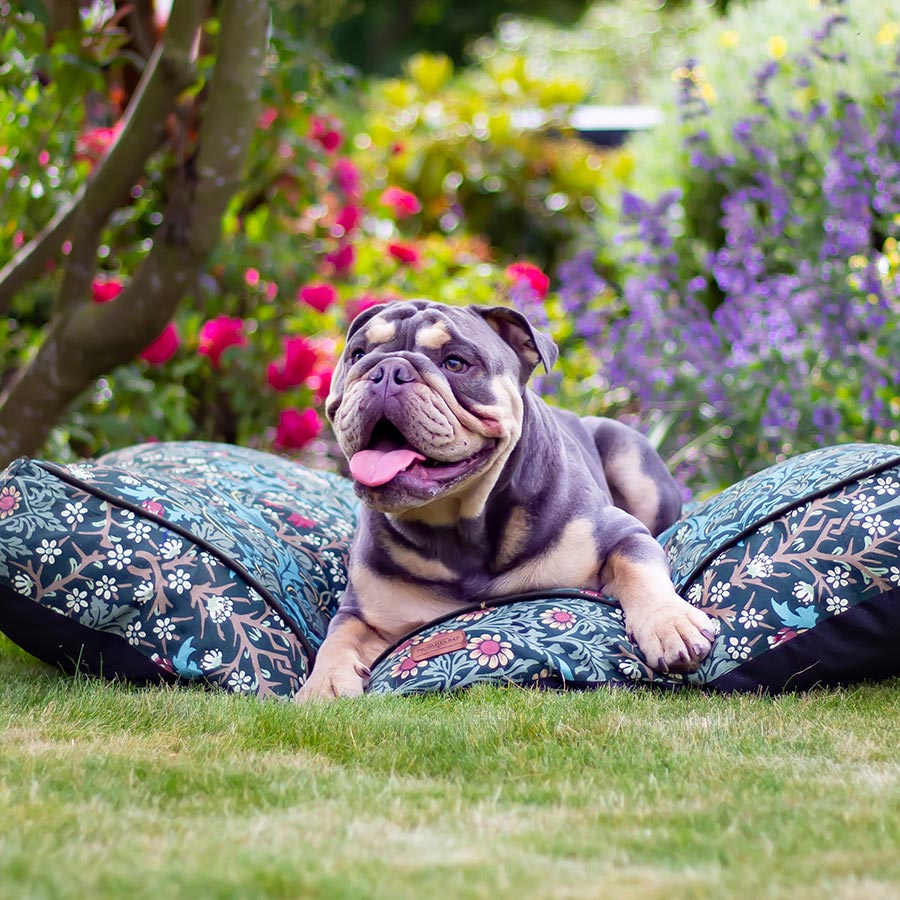 William Morris Pet Mattress Blackthorn Print Large