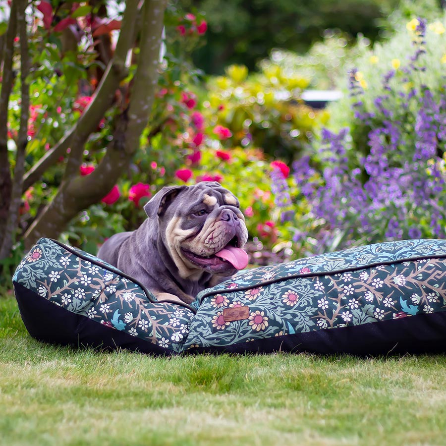 William Morris Pet Mattress Blackthorn Print Large