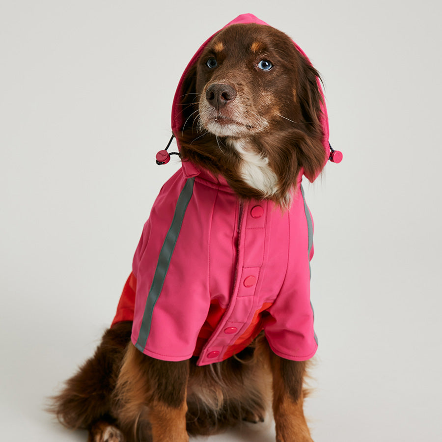 Joules Lydford Dog Raincoat Large
