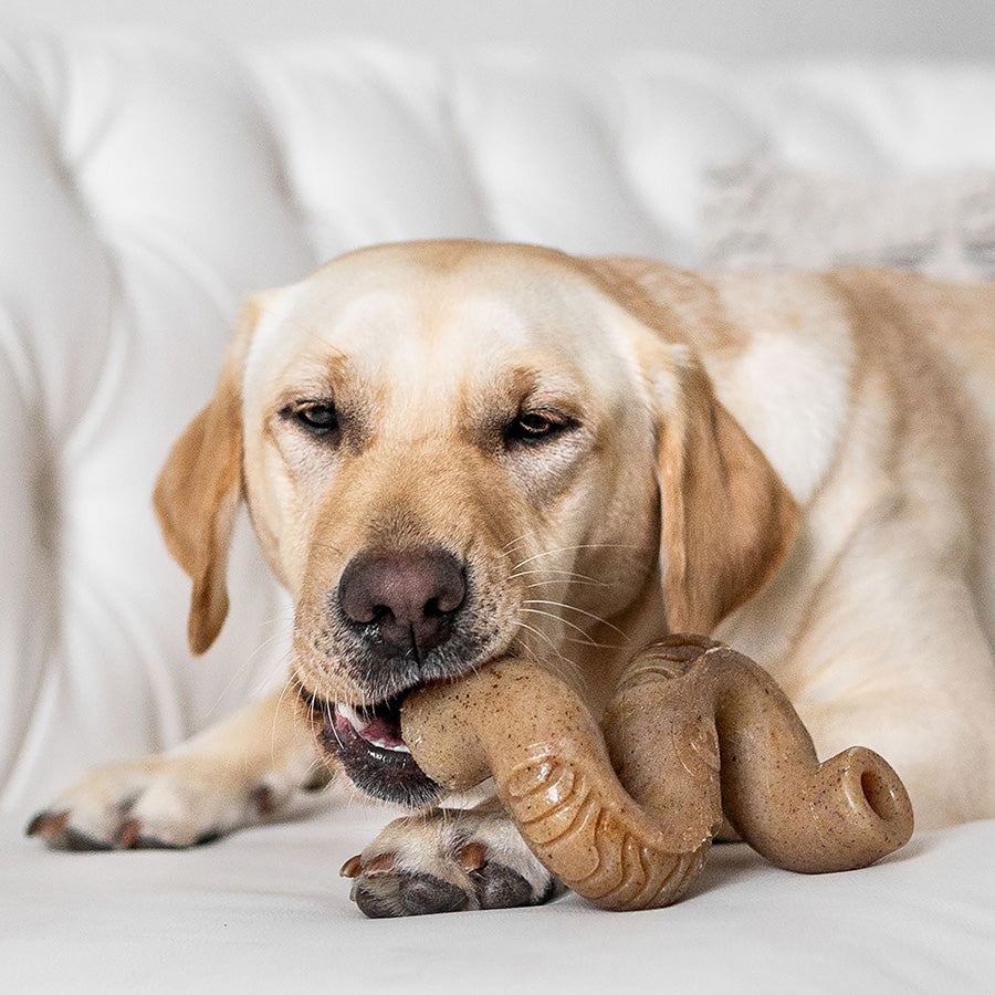 Benebone Tripe Bone Dog Toy Medium