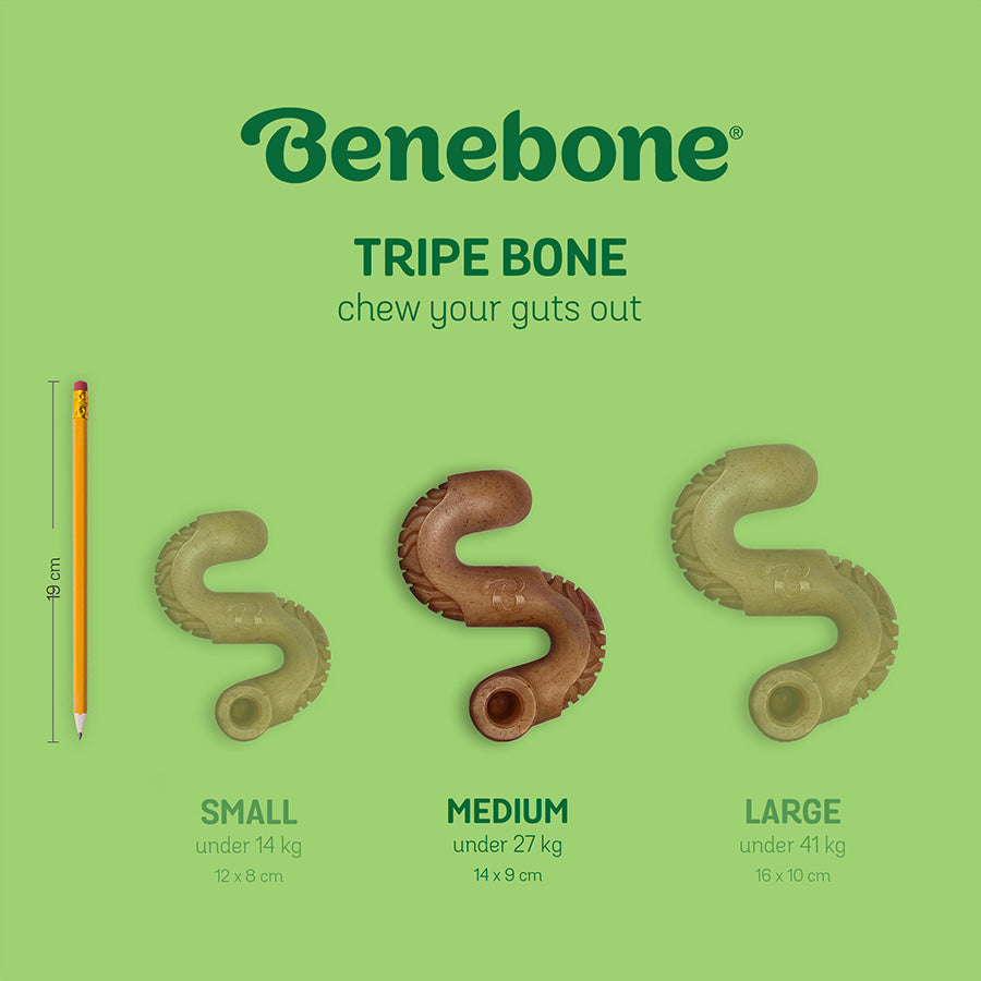 Benebone Tripe Bone Dog Toy Medium