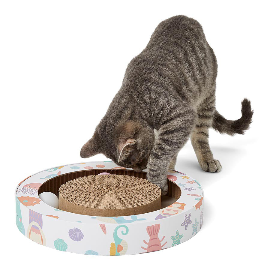 Baby Bea Cardboard Play and Scratch Kitten Toy