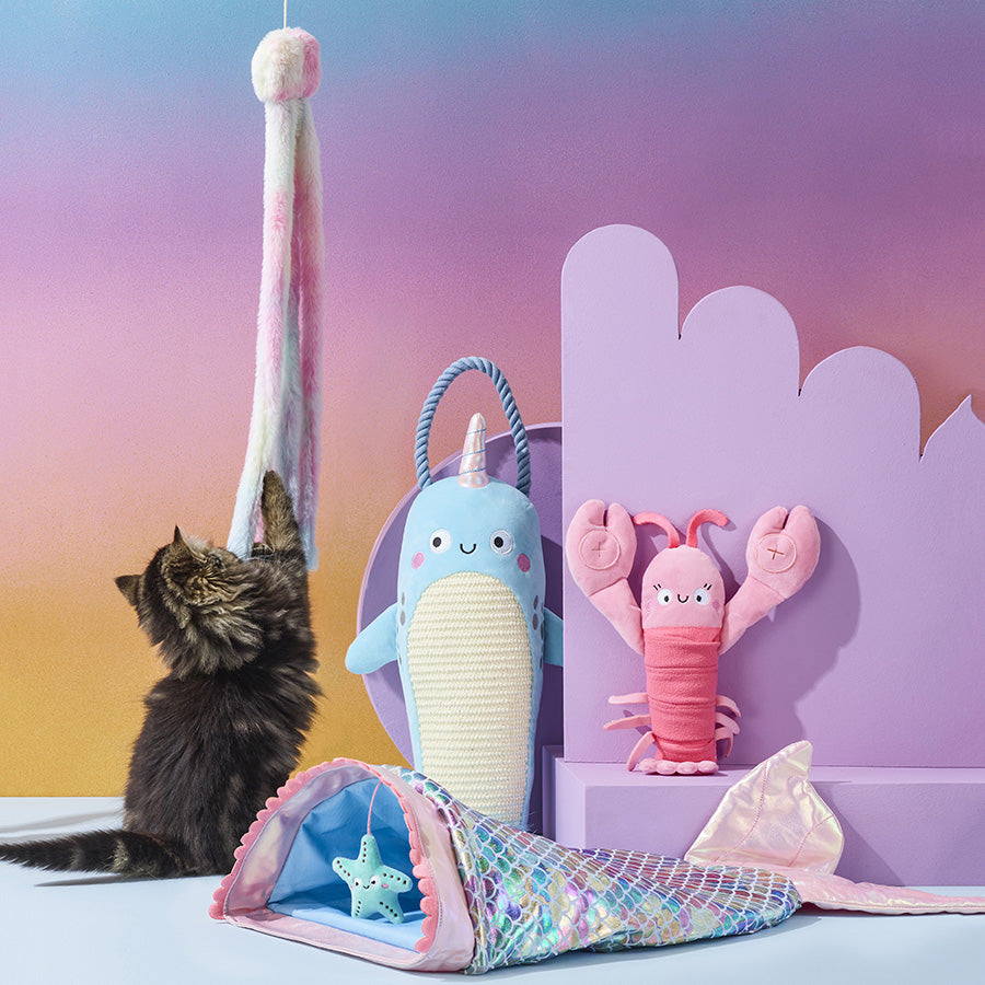 Pets at Home Kitten Hanging Narwhal Scratcher