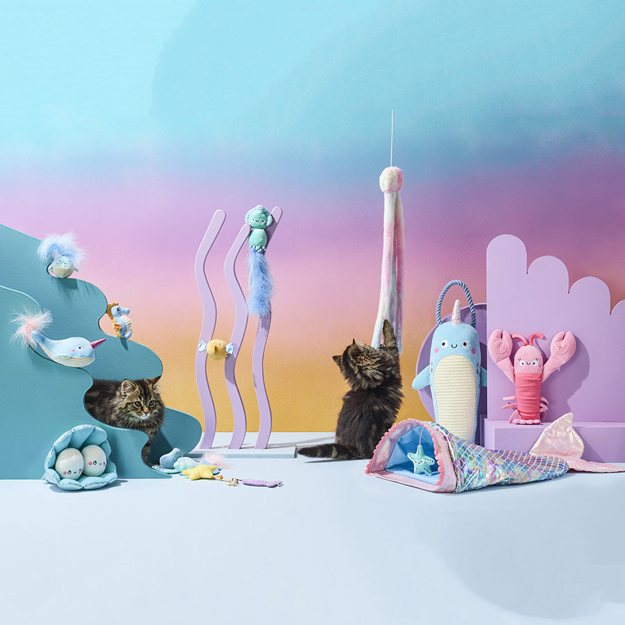 Pets at Home Kitten Hanging Narwhal Scratcher