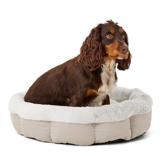 Noble Memory Foam Scalloped Donut Dog Bed Biscuit