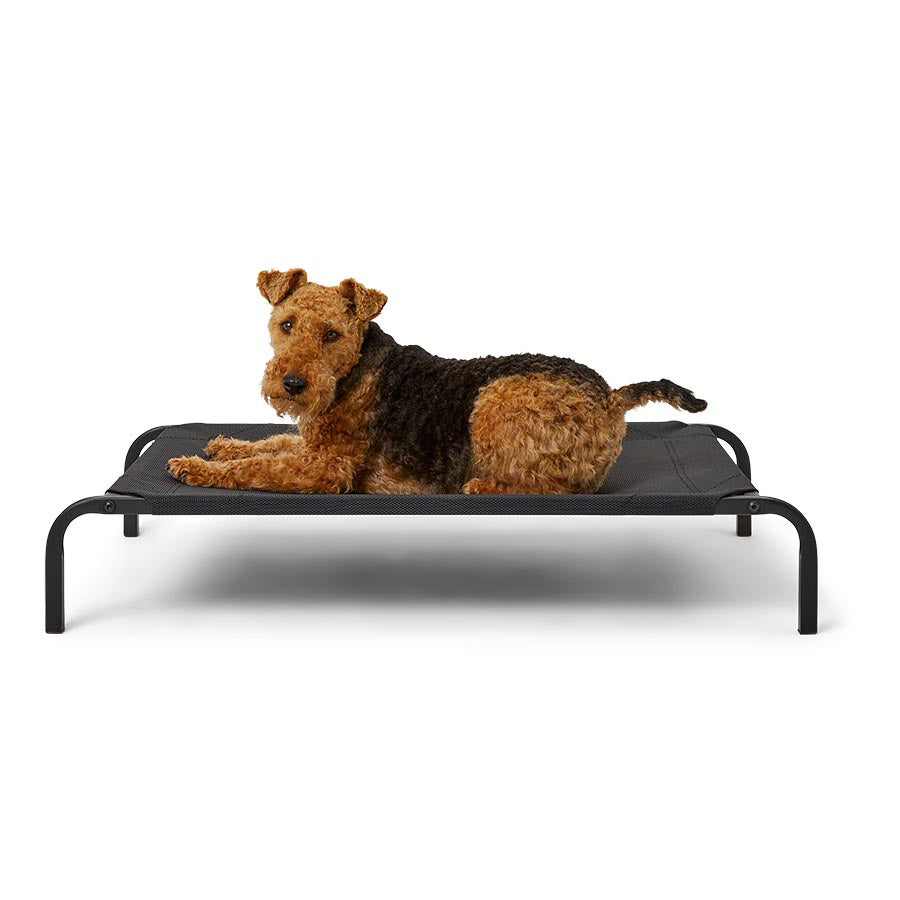 3 Peaks Breathable Raised Dog Bed Black