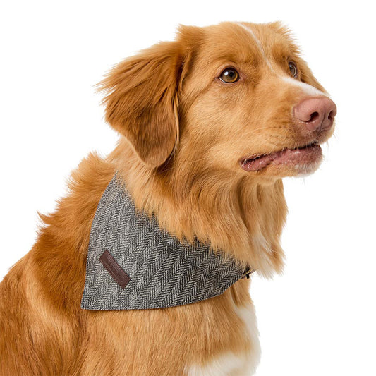 Wainwright's Herringbone Dog Bowtie & Bandana Set Grey