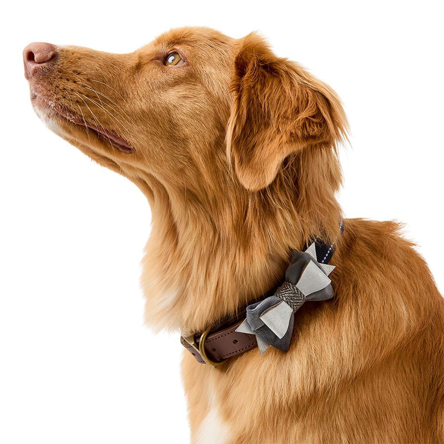 Wainwright's Herringbone Dog Bowtie & Bandana Set Grey