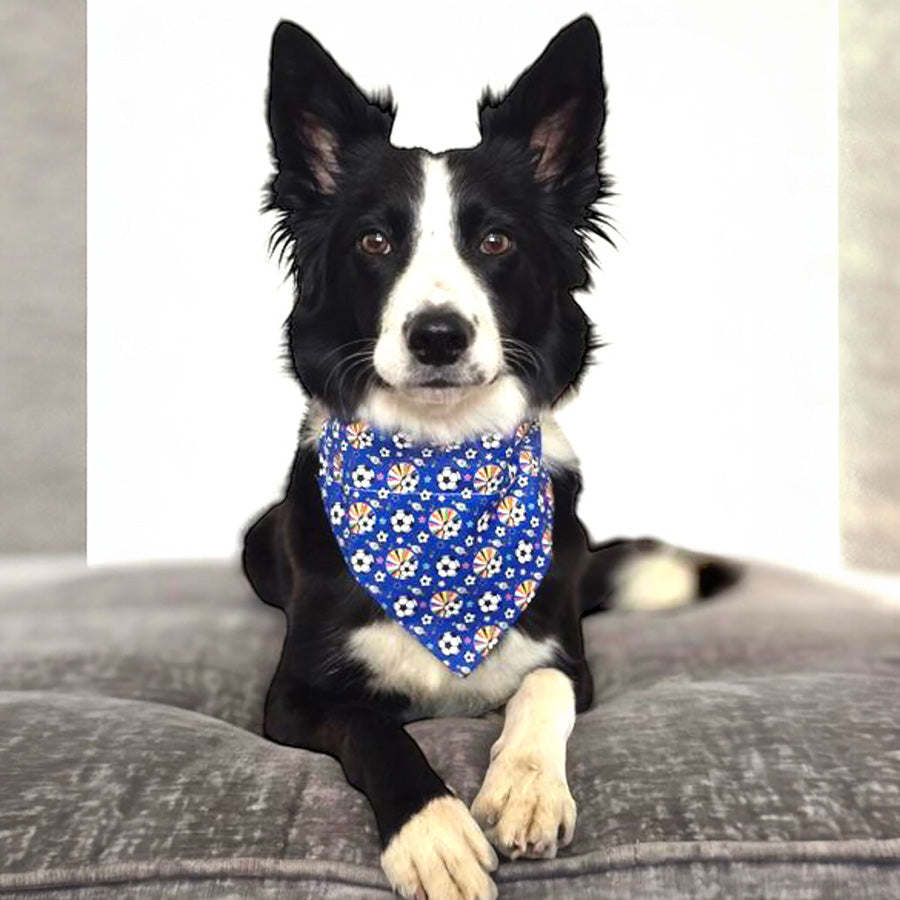 Franky's Bowtique Football Print Pet Bandana Blue