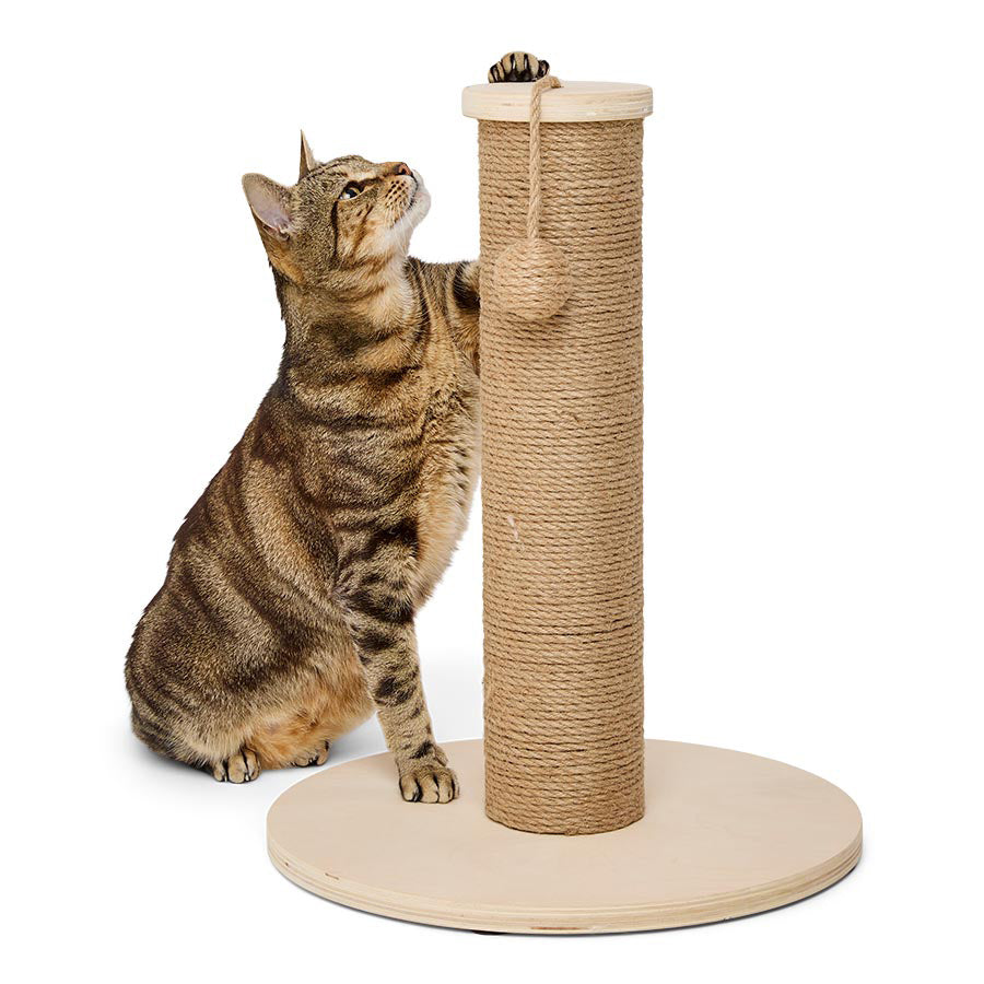 Pets at Home Willow's Ruby Wood Scratch And Swat Cat Post