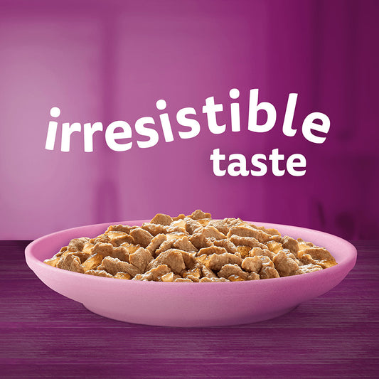 Whiskas Kitten Wet Cat Food Poultry Feasts in Jelly 40 x 85g Pouches