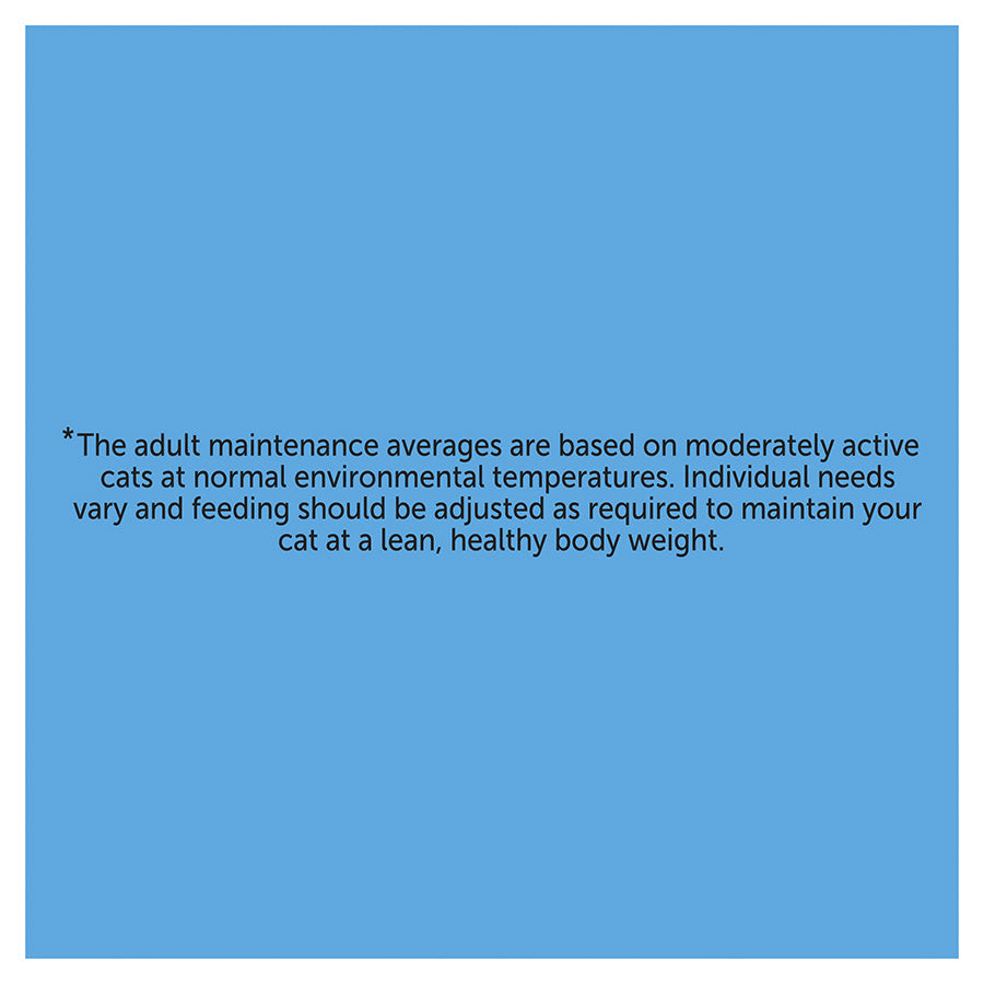 Felix Original Adult Wet Cat Food Fish Selection in Jelly