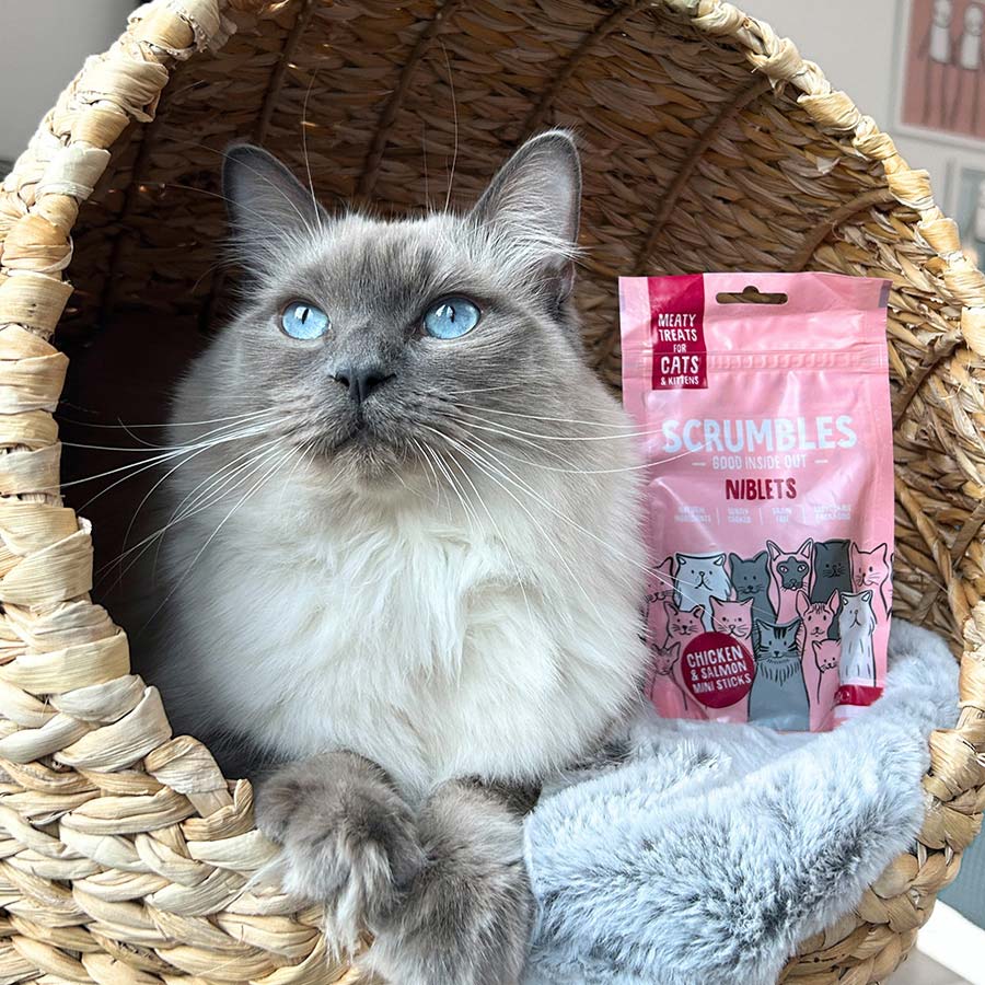 Scrumbles Niblets Meaty Cat Treats Salmon 50g
