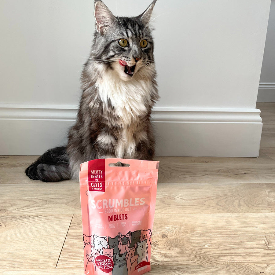 Scrumbles Niblets Meaty Cat Treats Salmon 50g