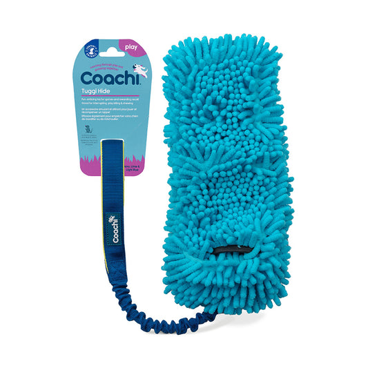 Coachi Tuggi Hide Dog Toy Blue & Lime