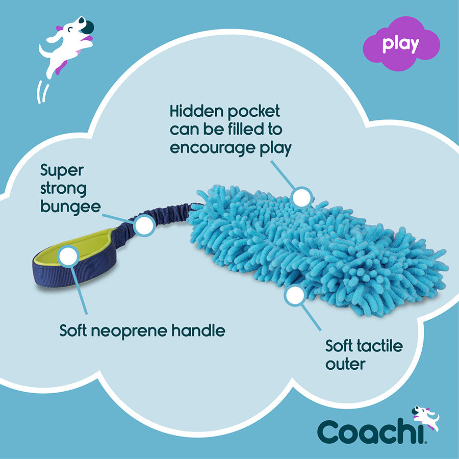 Coachi Tuggi Hide Dog Toy Blue & Lime