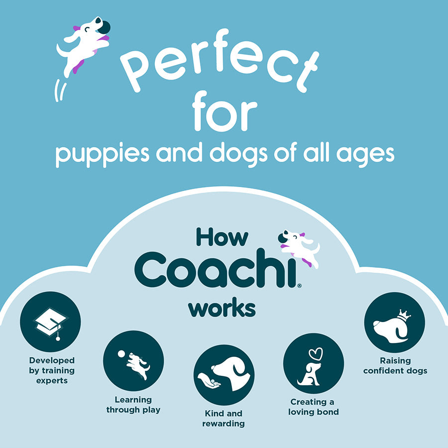 Coachi Tuggi Hide Dog Toy Blue & Lime