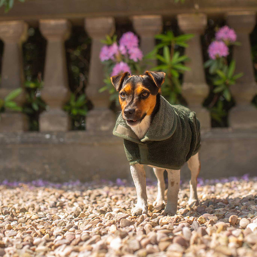 Lords & Labradors Bamboo Fir Dog Drying Coat Green