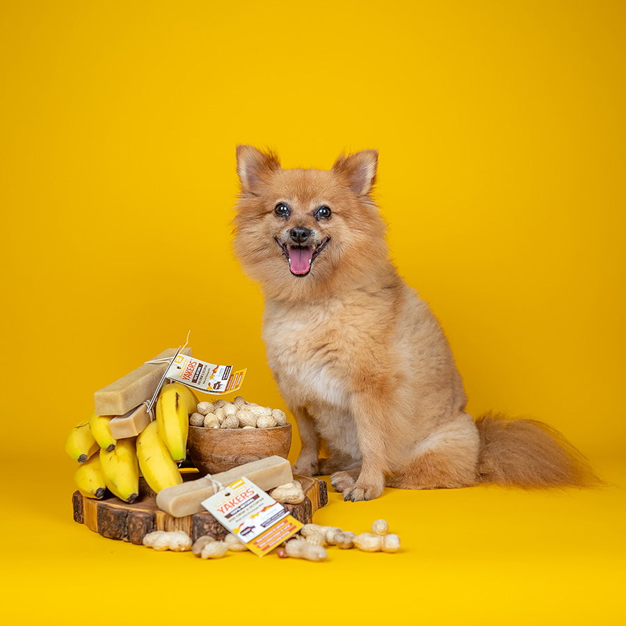Yakers Dog Chew Treat Peanut Butter & Banana
