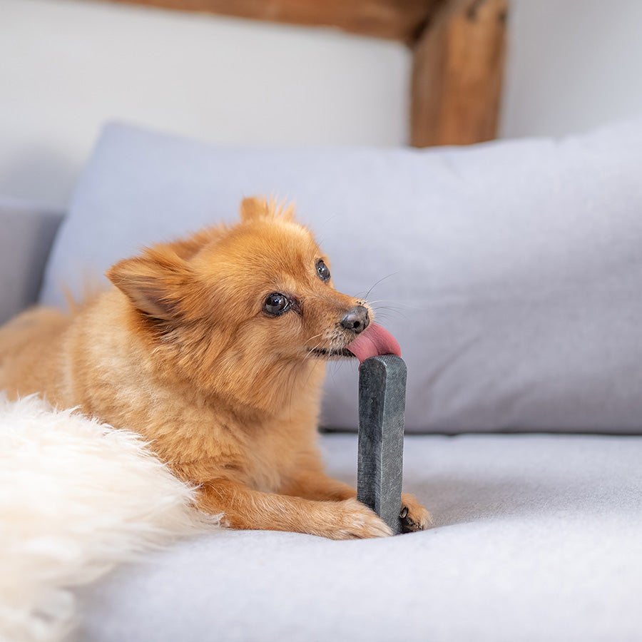 Yakers Dog Chew Treat Blueberry