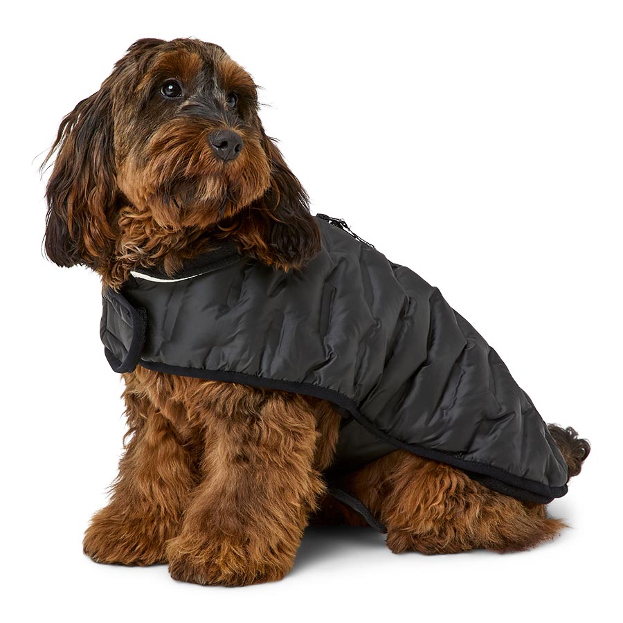 3 Peaks Shower Resistant Dog Parka Jacket Black/Ecru