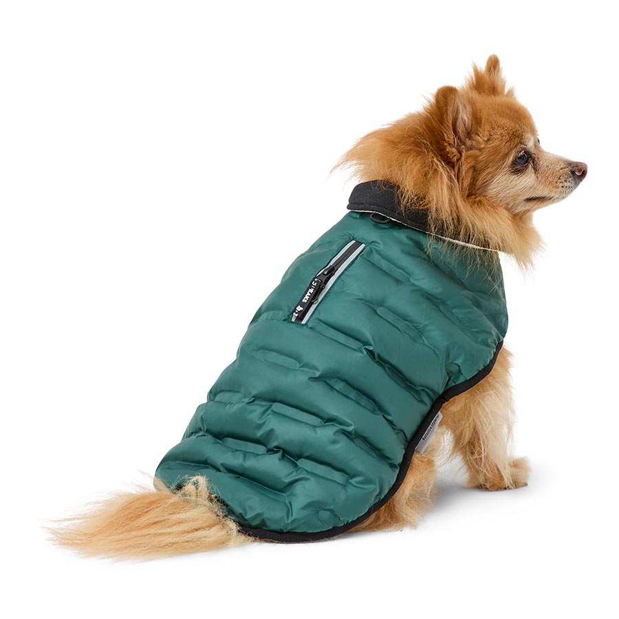 3 Peaks Shower Resistant Dog Parka Jacket Green/Ecru