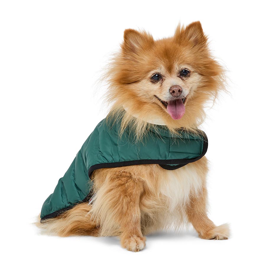 3 Peaks Shower Resistant Dog Parka Jacket Green/Ecru