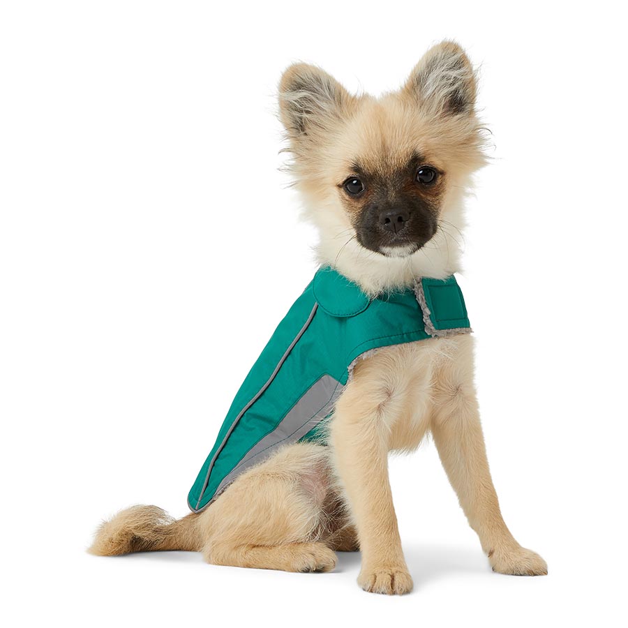 Pets at Home Ripstop Reflective Trim Dog Coat Green