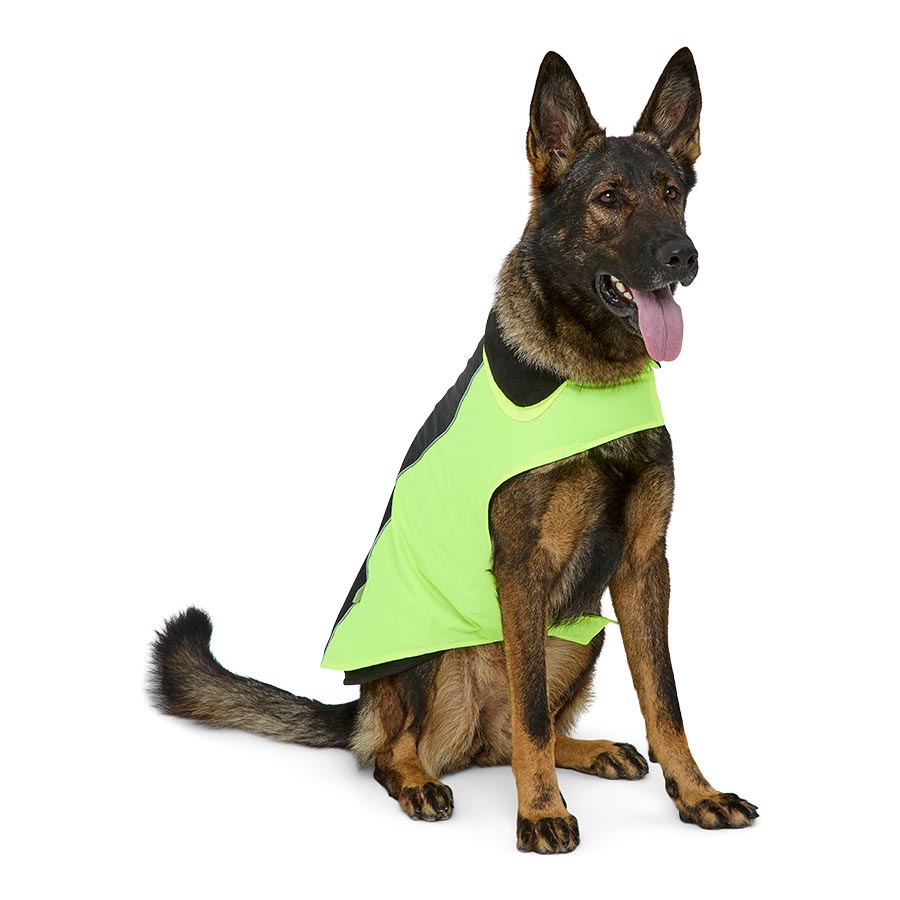 3 Peaks 3 in 1 3M Reflective Dog Jacket Yellow
