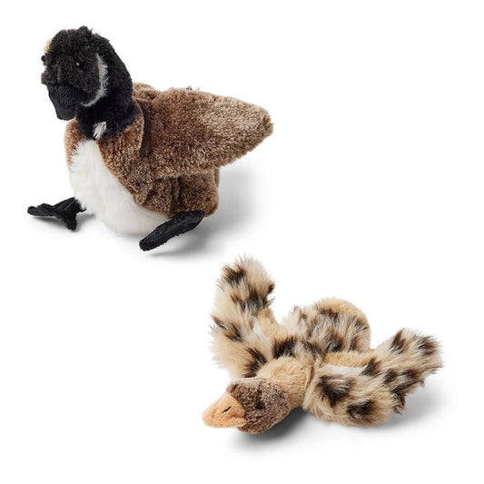Wainwright's Instinct Mini Duck & Goose Flattie Duo Dog Toys