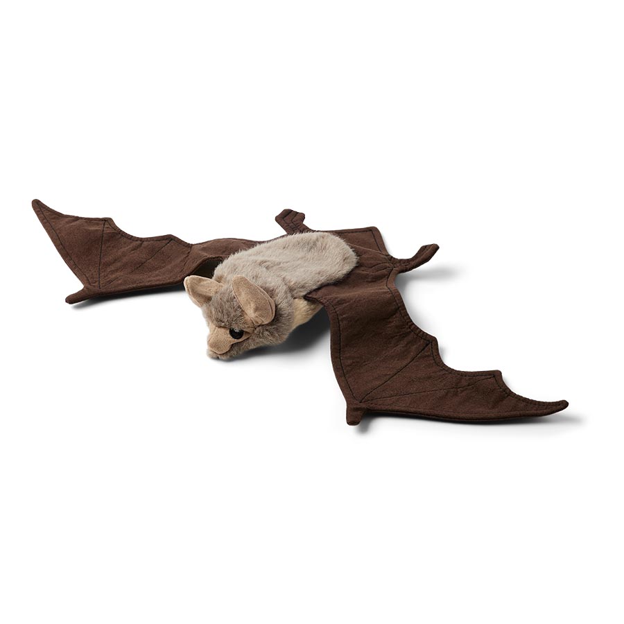 Wainwright's Instinct Bat Flattie Squeak & Crinkle Dog Toy