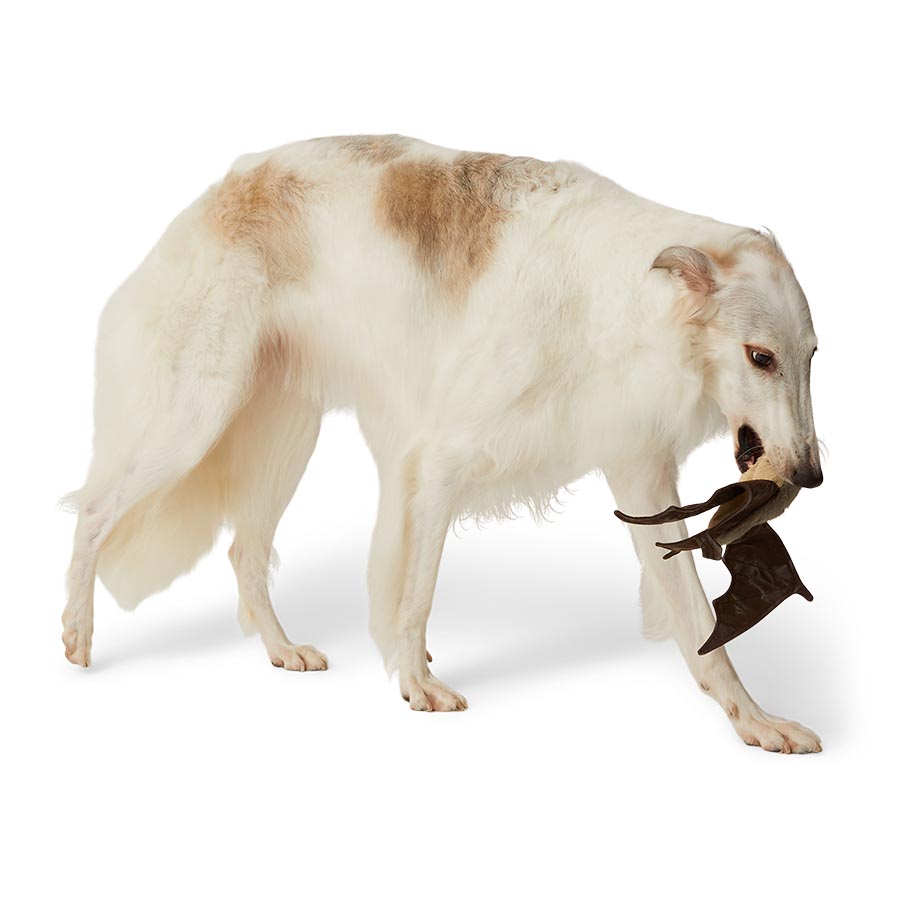 Wainwright's Instinct Bat Flattie Squeak & Crinkle Dog Toy