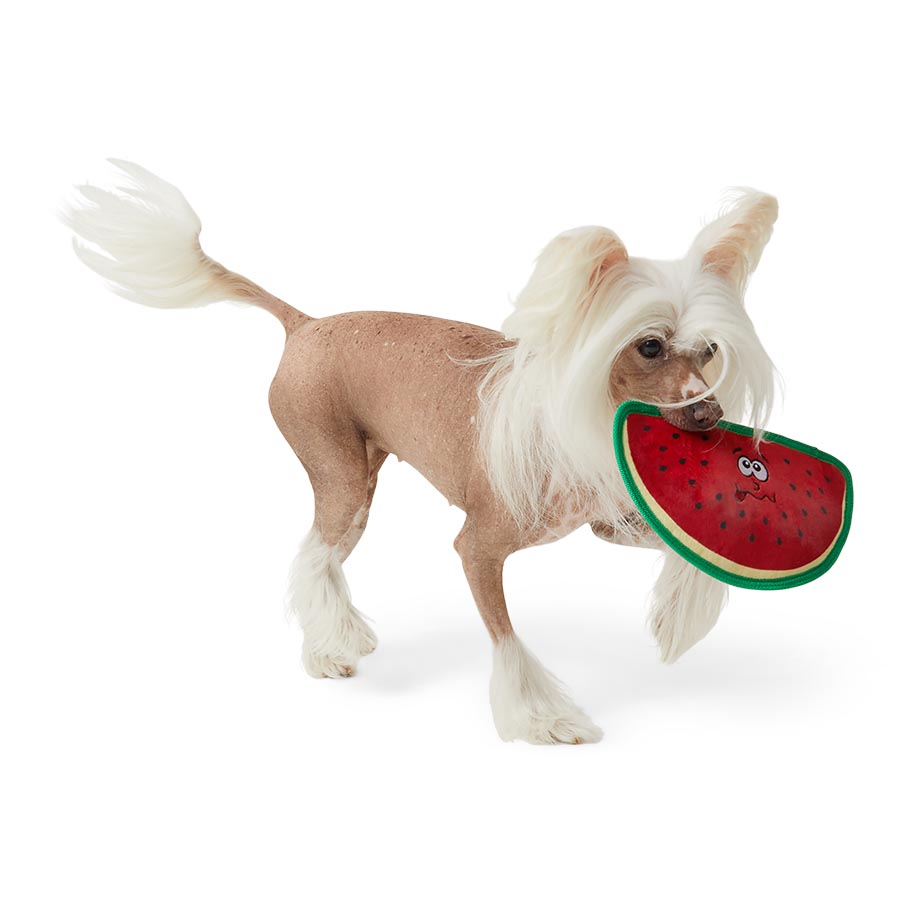 Pets at Home Flattie Fruits Crinkle & Squeaky Dog Toy Assorted