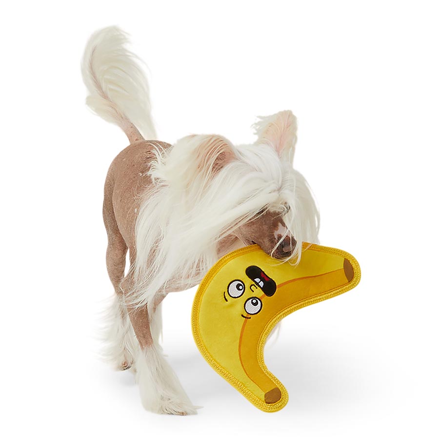 Pets at Home Flattie Fruits Crinkle & Squeaky Dog Toy Assorted