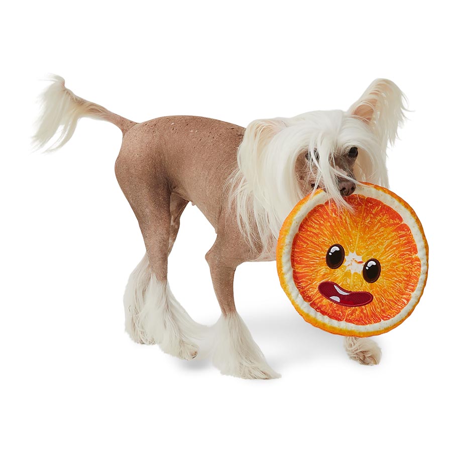 Pets at Home Flattie Fruits Crinkle & Squeaky Dog Toy Assorted