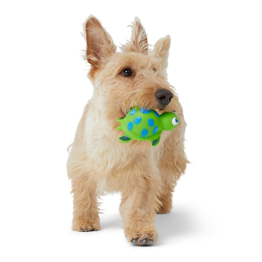 Pets at Home Sea Creature Vinyl Dog Toy Assorted