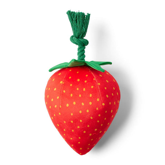 Pets at Home Sassy Strawberry Squeaky Dog Toy