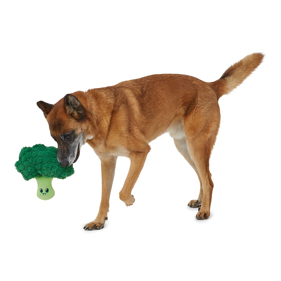 Pets at Home Bemused Broccoli Squeaky Dog Toy