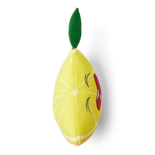 Pets at Home Bitter Lemon Dog Toy